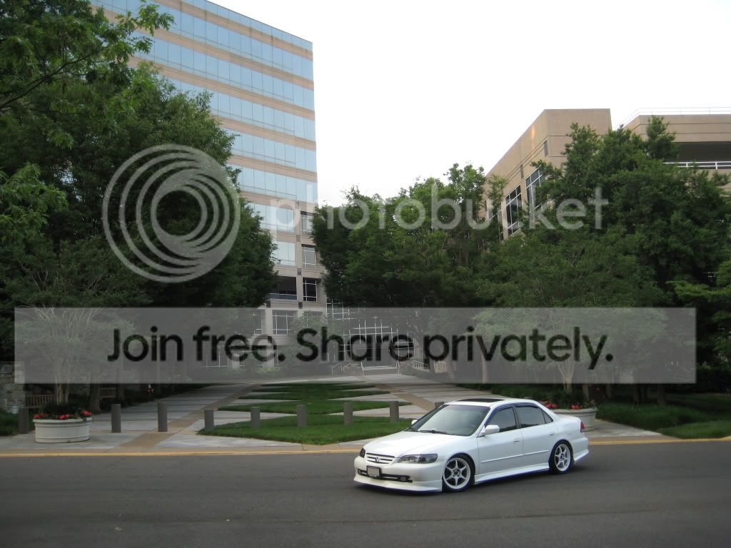 IMG_7493.jpg