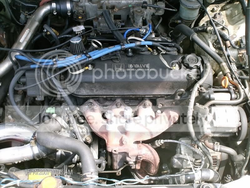 HPIM0335.jpg