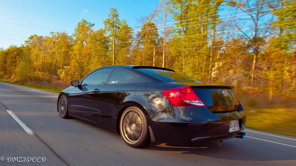 d8zpk9zw5wg66v86g.jpg