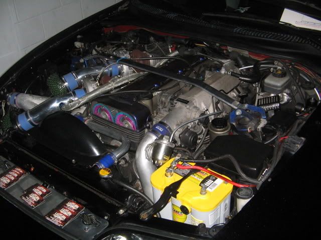 HINBoston2K7143.jpg