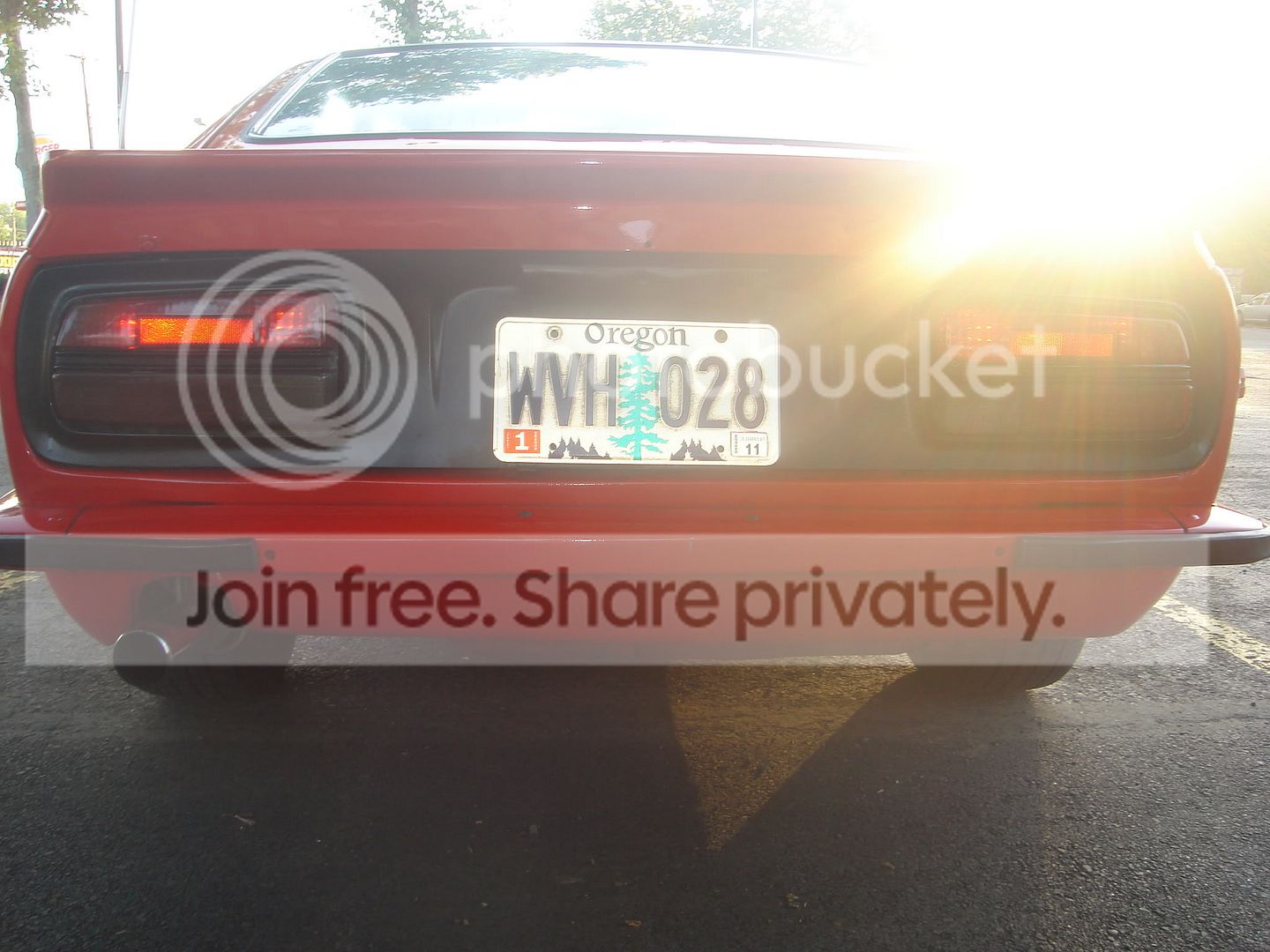 Picture367.jpg