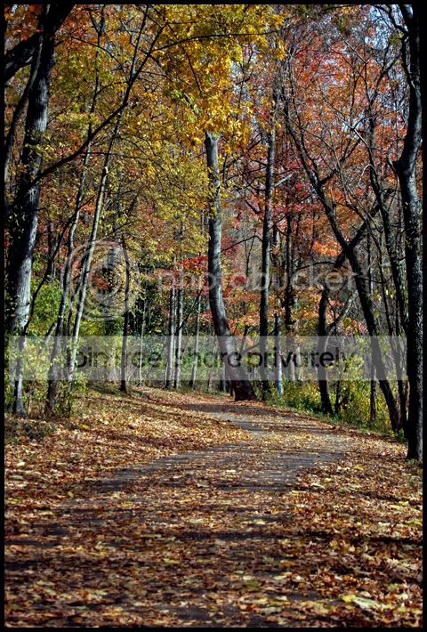 Fall003a.jpg