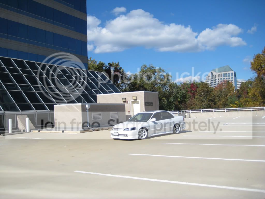 IMG_9936.jpg