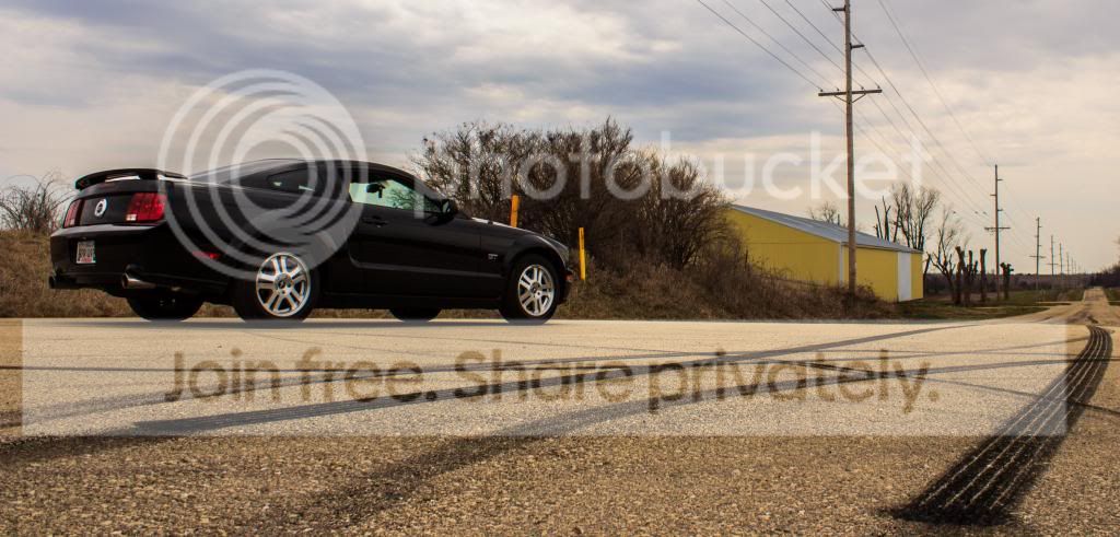 08MustangStripesPose_zps42143fd1.jpg