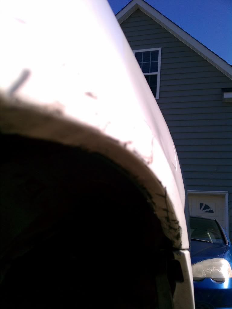IMG_20111102_115552.jpg