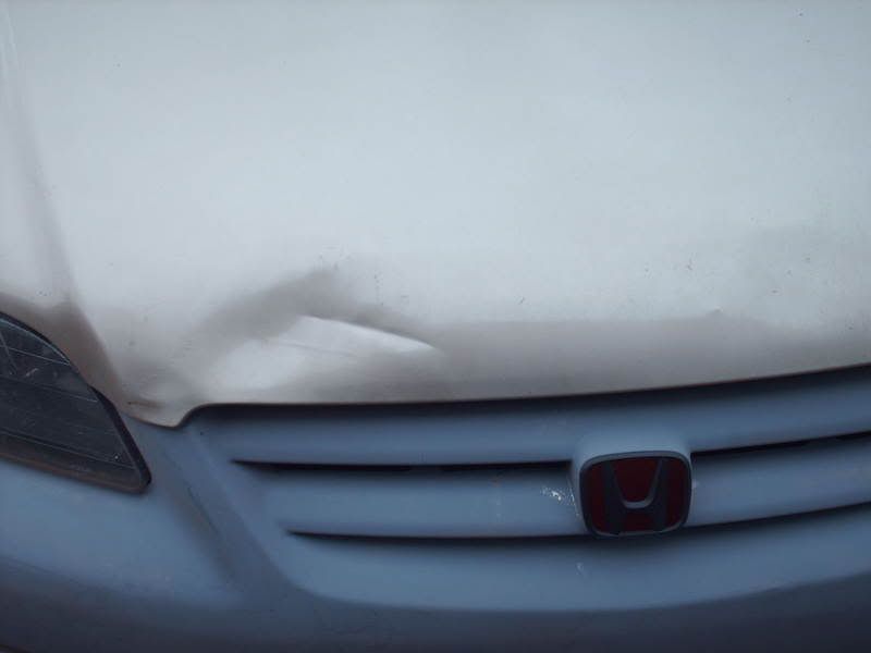 PICT0733.jpg