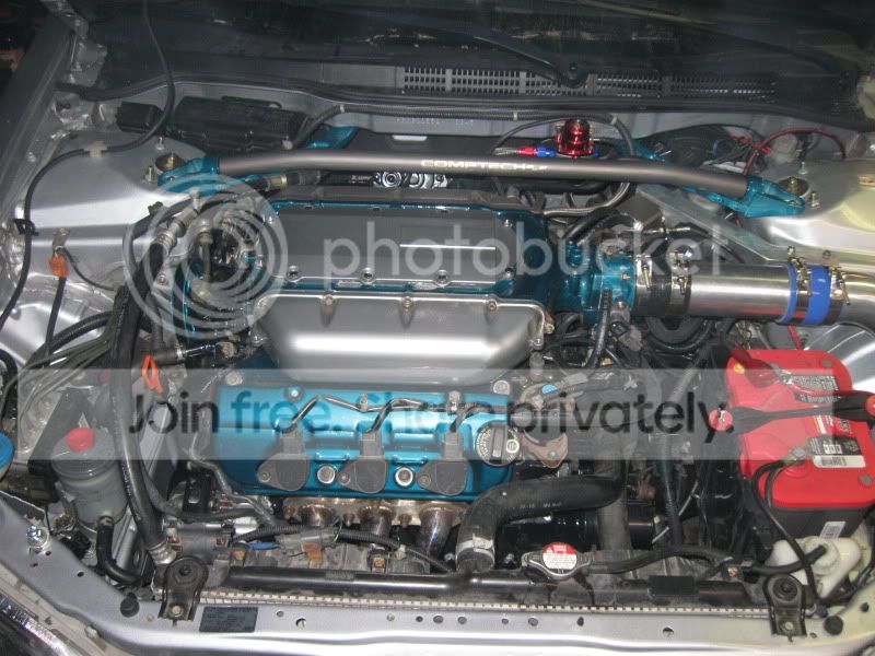 DV8016.jpg