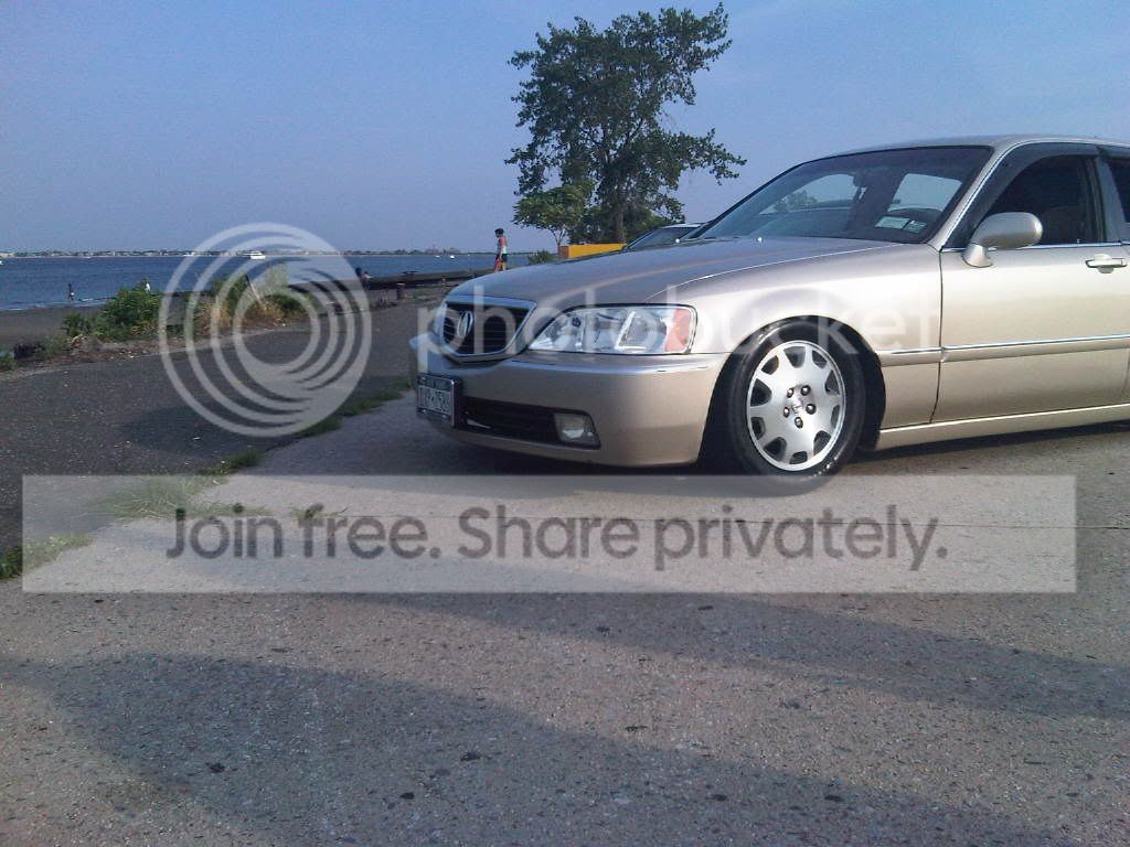 blackberrypics052.jpg