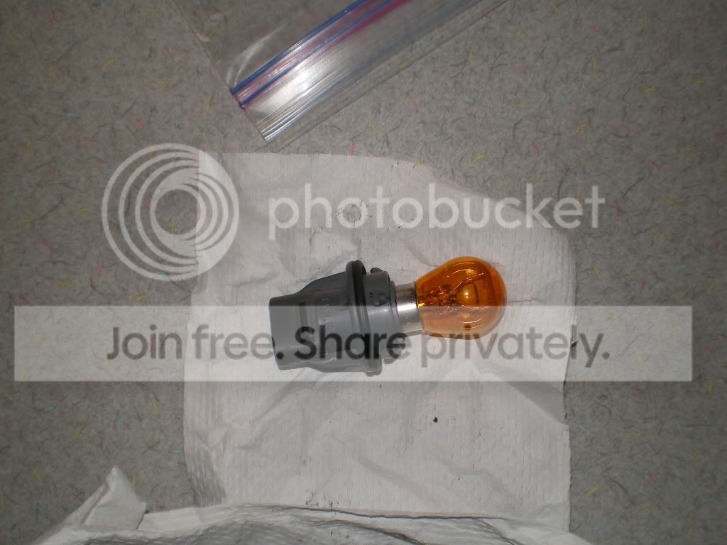 IMGP0193.jpg