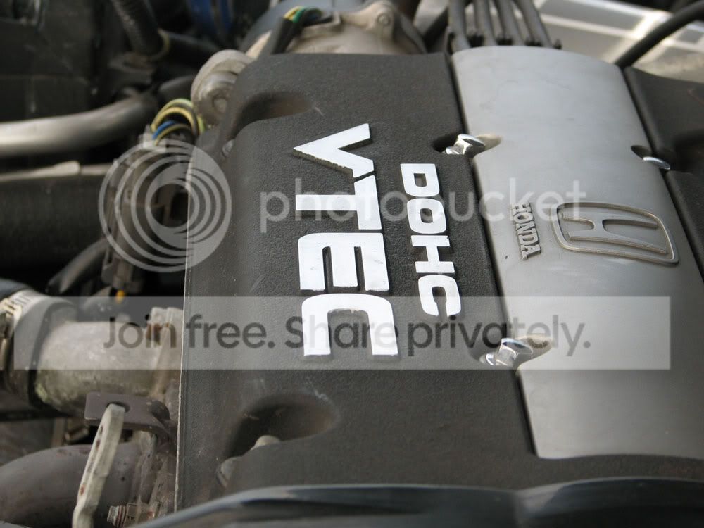 cb8dba42.jpg