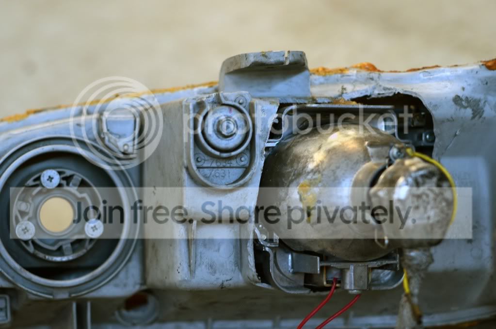 DSC_7001a.jpg