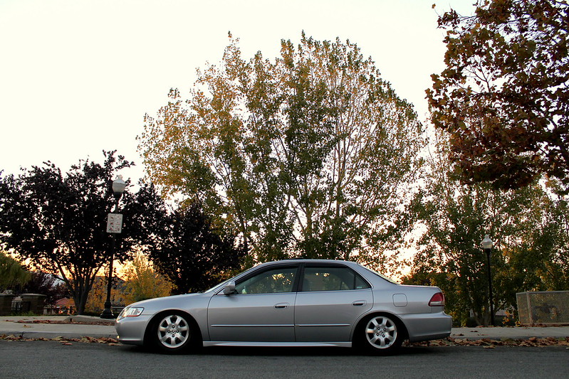 8178032107_af6dd37d02_c.jpg