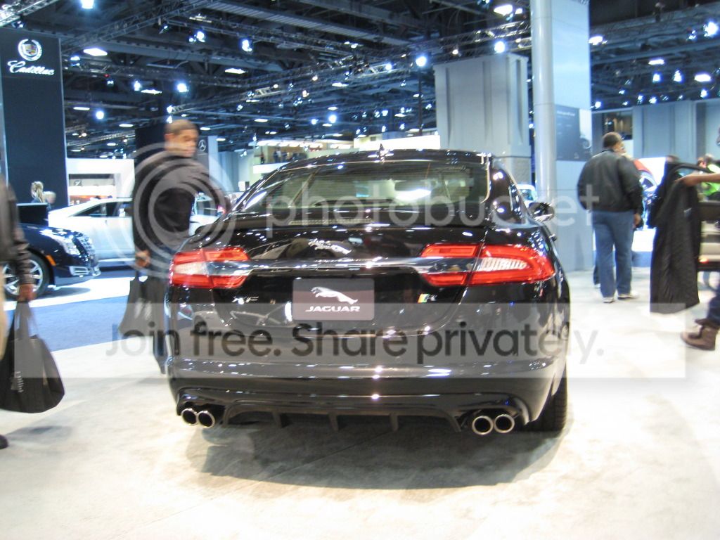 IMG_0343_zps648d8f10.jpg