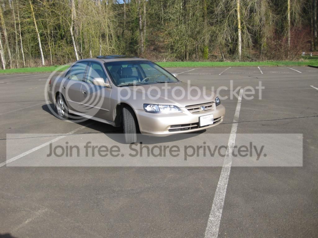 IMG_1117_zpslqj59xap.jpg
