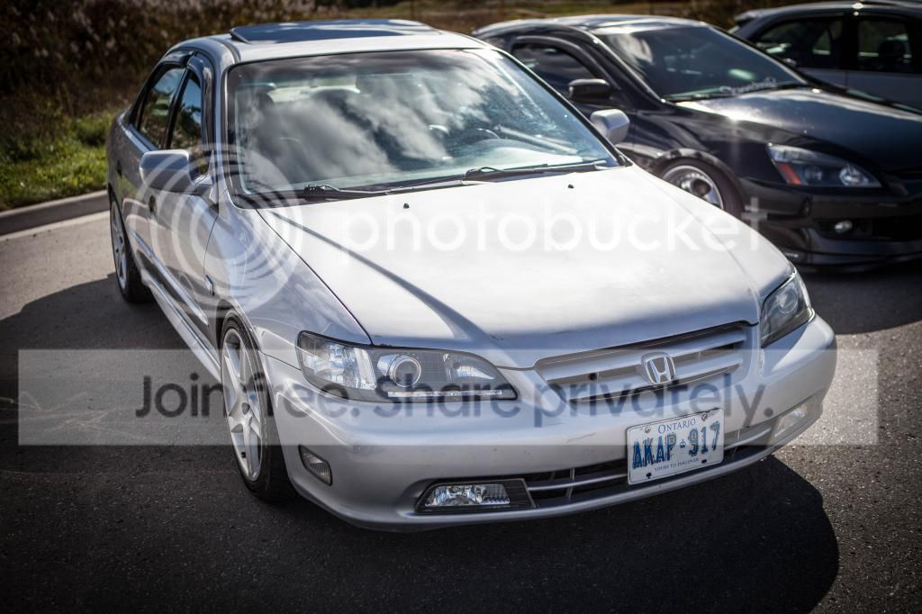 IMG_2725_zps6595a52f.jpg