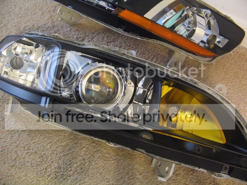 readytoseal004.jpg