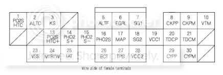 s84ecu31p.jpg