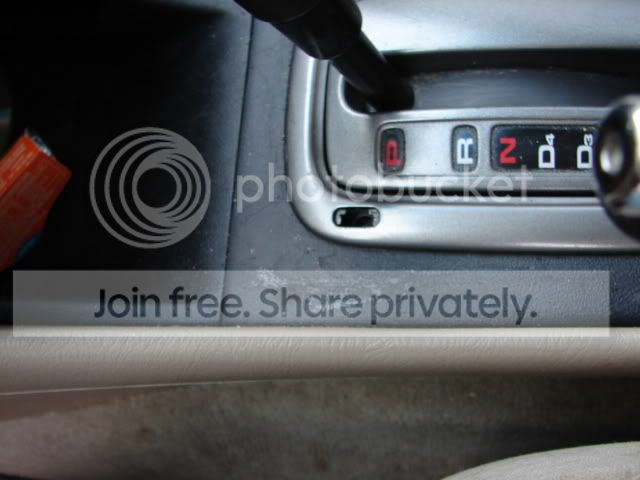 mypics001.jpg