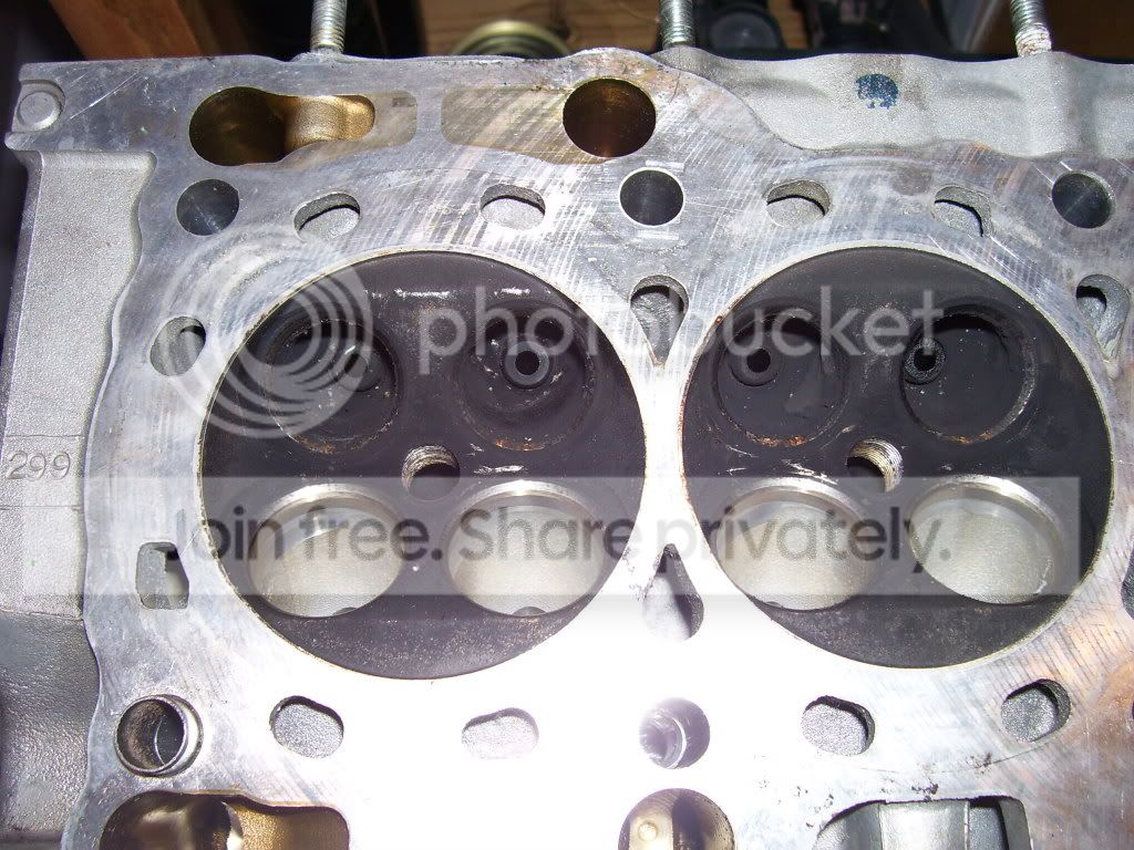 102_2419-Copy.jpg
