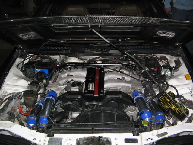 HINBoston2K7118.jpg