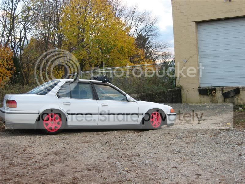 IMG_2544Medium.jpg