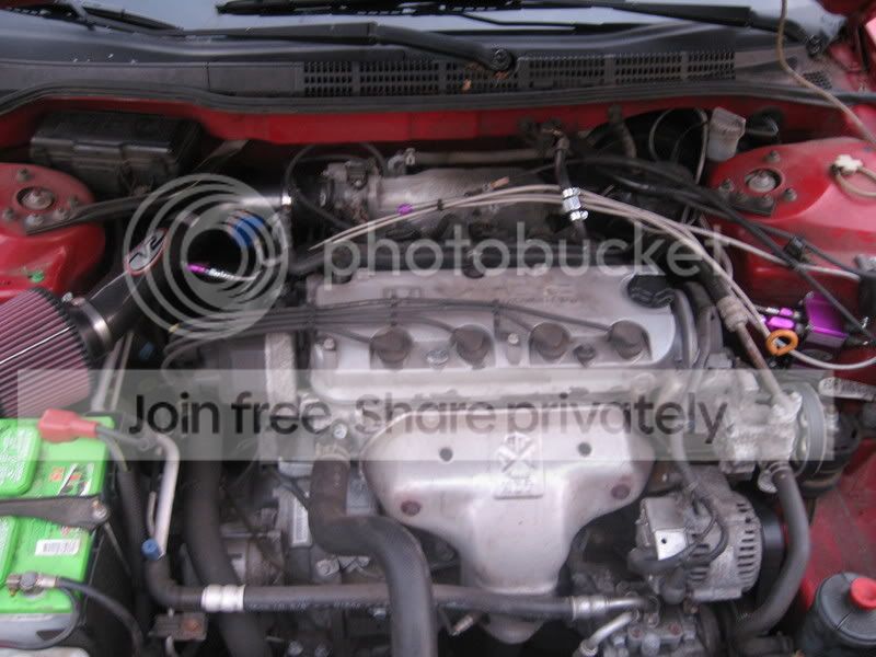 Picture007.jpg
