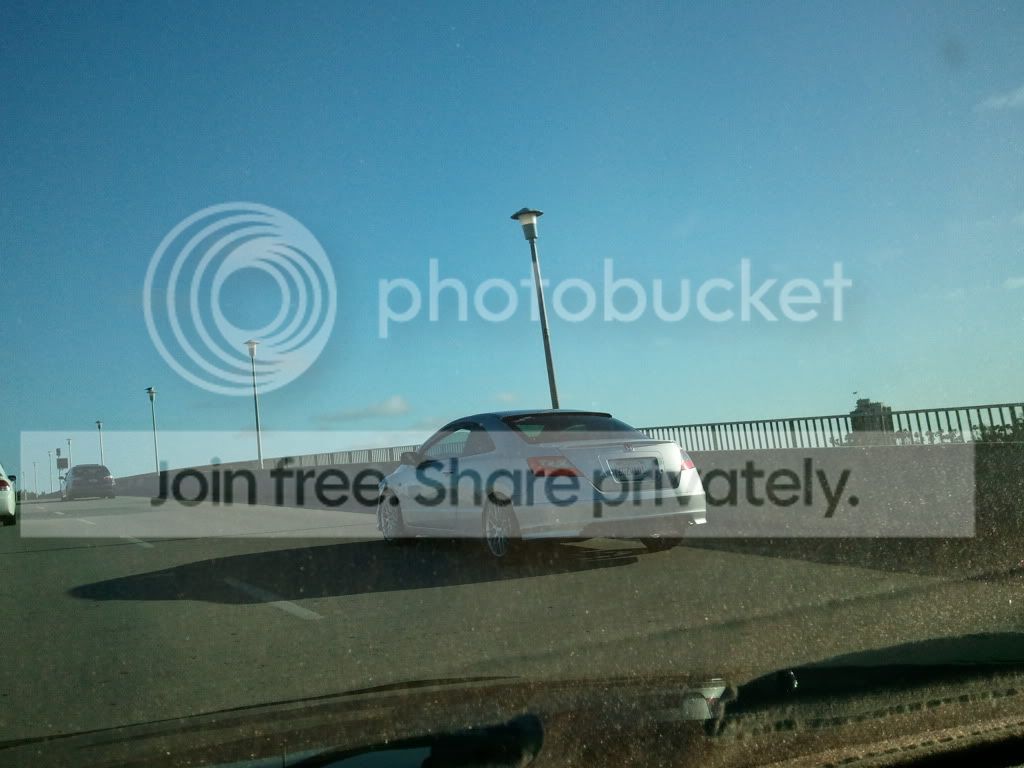 2011-03-27173142.jpg