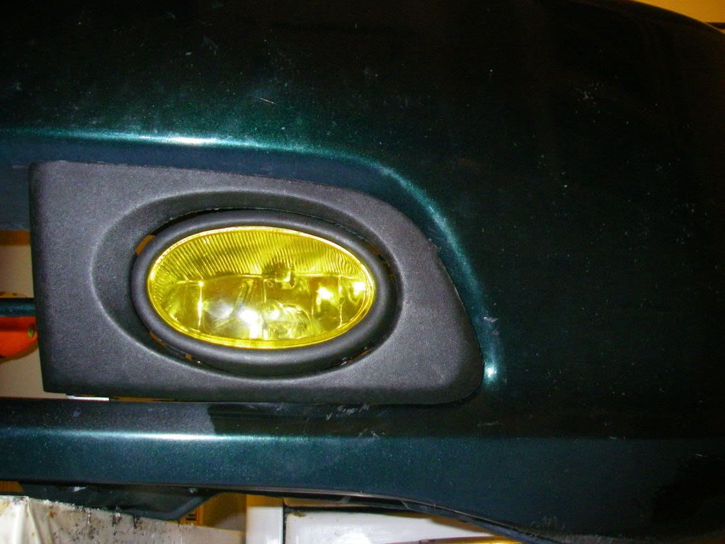 lilstinking2_008-1.jpg