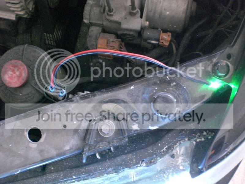 CIMG3101.jpg