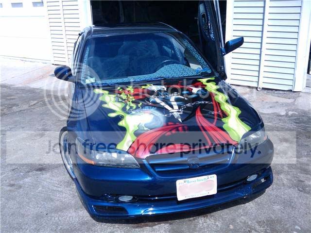 newwhip.jpg