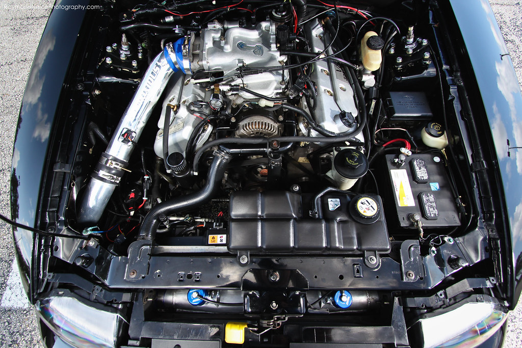 6115479926_14efc43c6d_b.jpg
