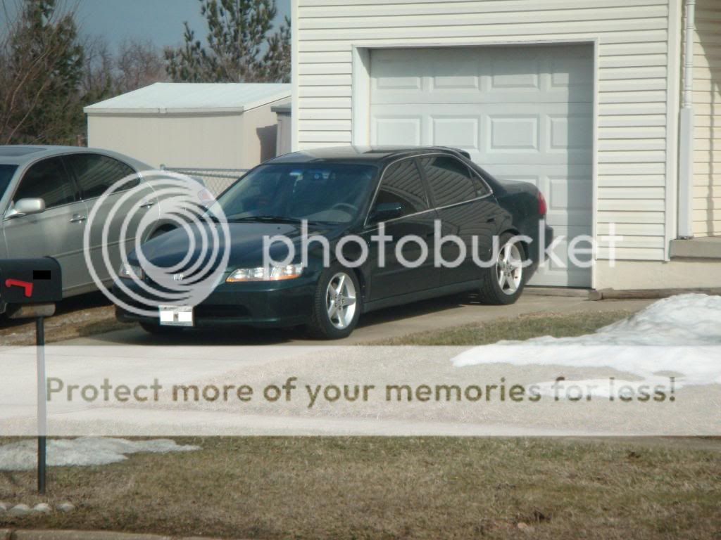 5lug4.jpg