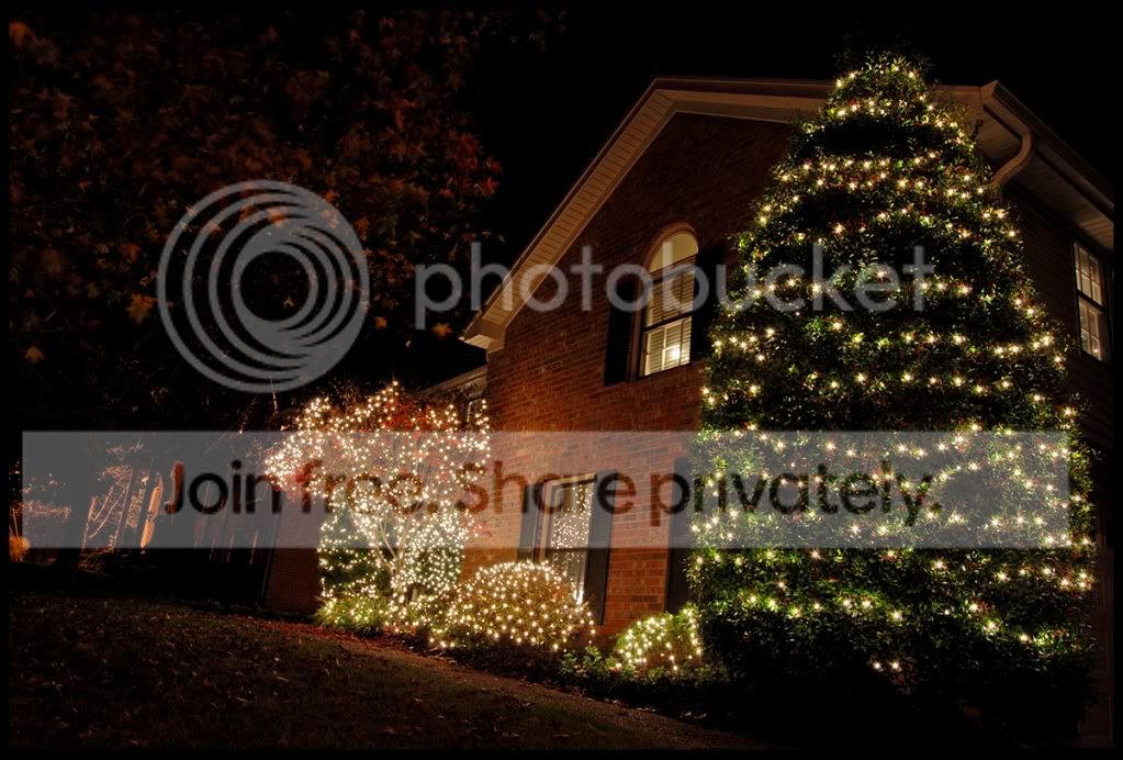 lights017a.jpg