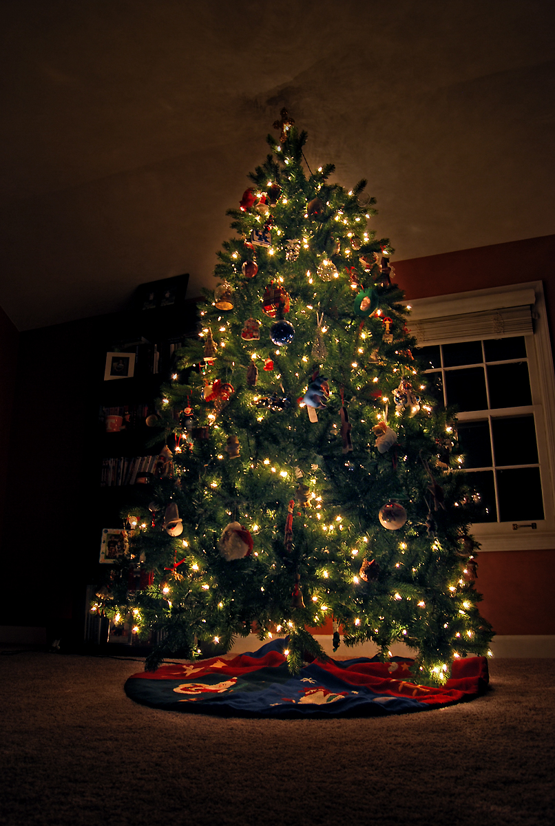 dsc_3404a.jpg