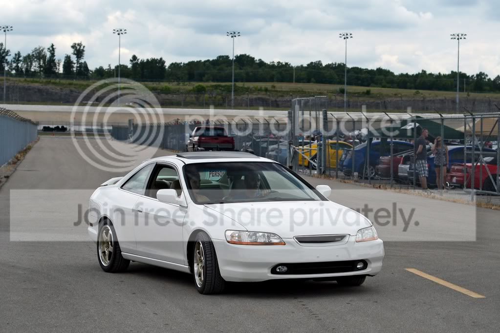 DSC_3795a.jpg