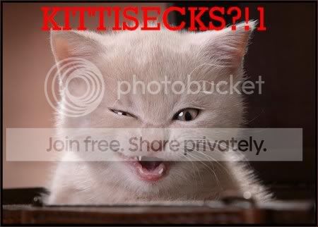 kittisecks.jpg