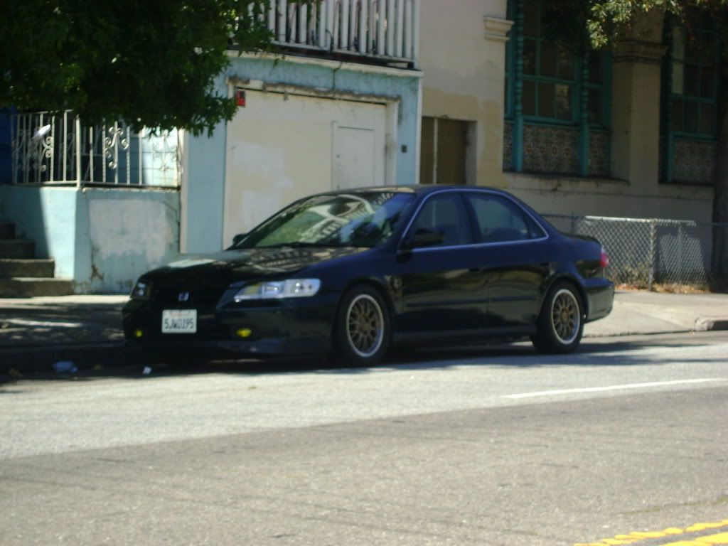 lemon008-3.jpg