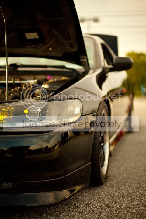 carshow6.jpg