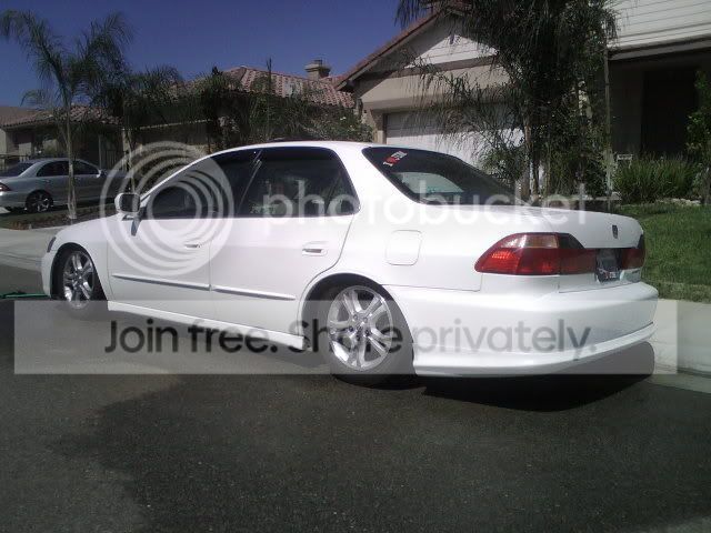 IMG009162.jpg
