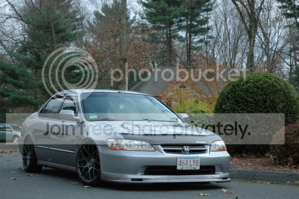 DSC_6803.jpg