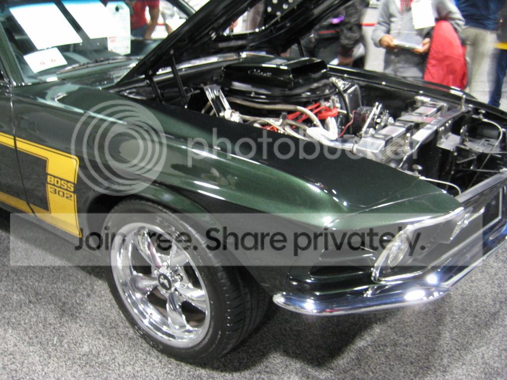 IMG_0451_zps14135308.jpg