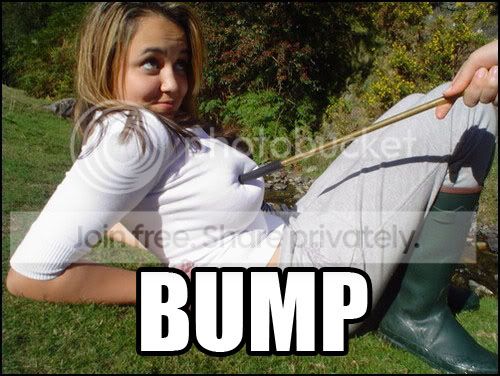 bump.jpg