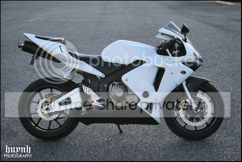 IMG_4589copy.jpg