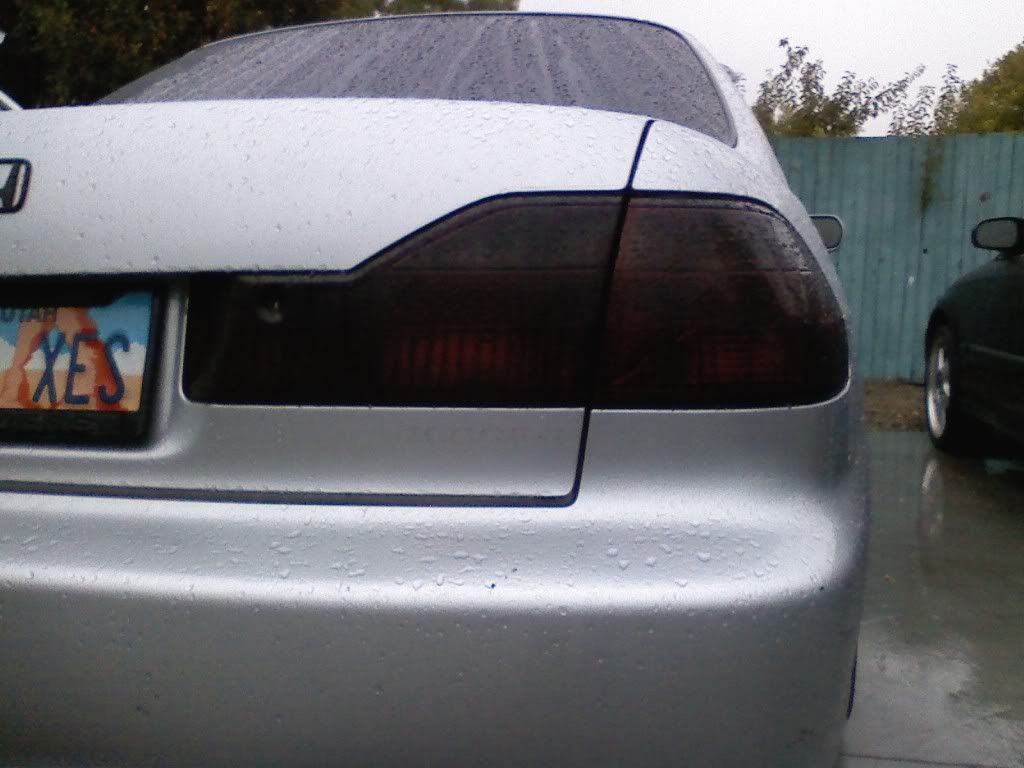 taillights.jpg