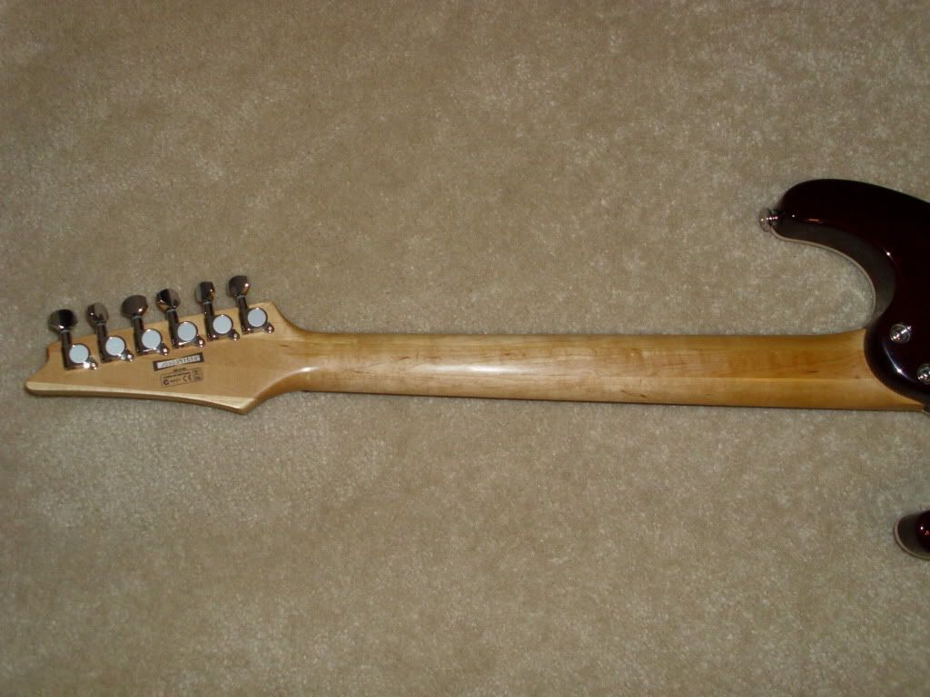 DSCI0416.jpg