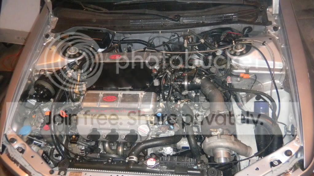accord495.jpg