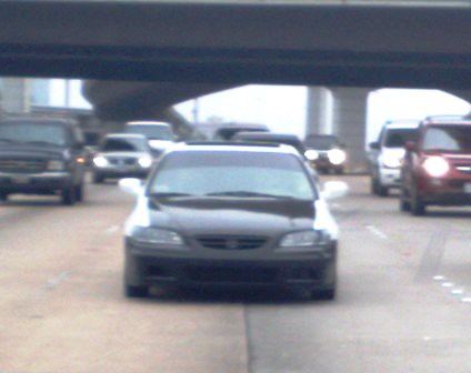 3917606737_7889aeba4e.jpg