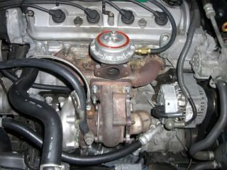 CIMG1622.jpg