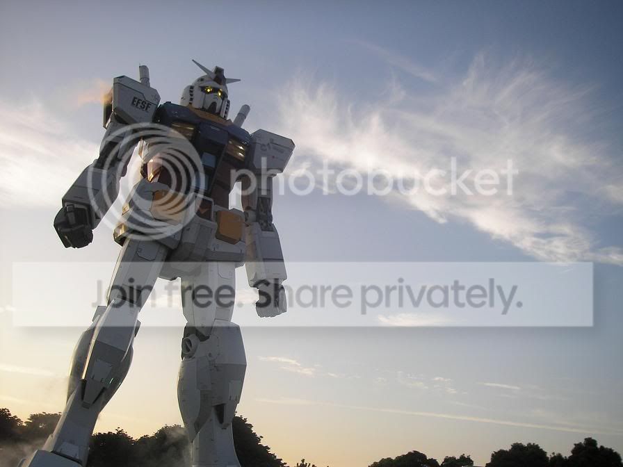 trip45.jpg