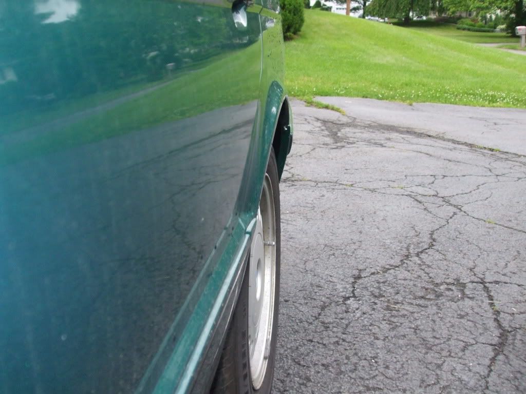 DSCF0557.jpg